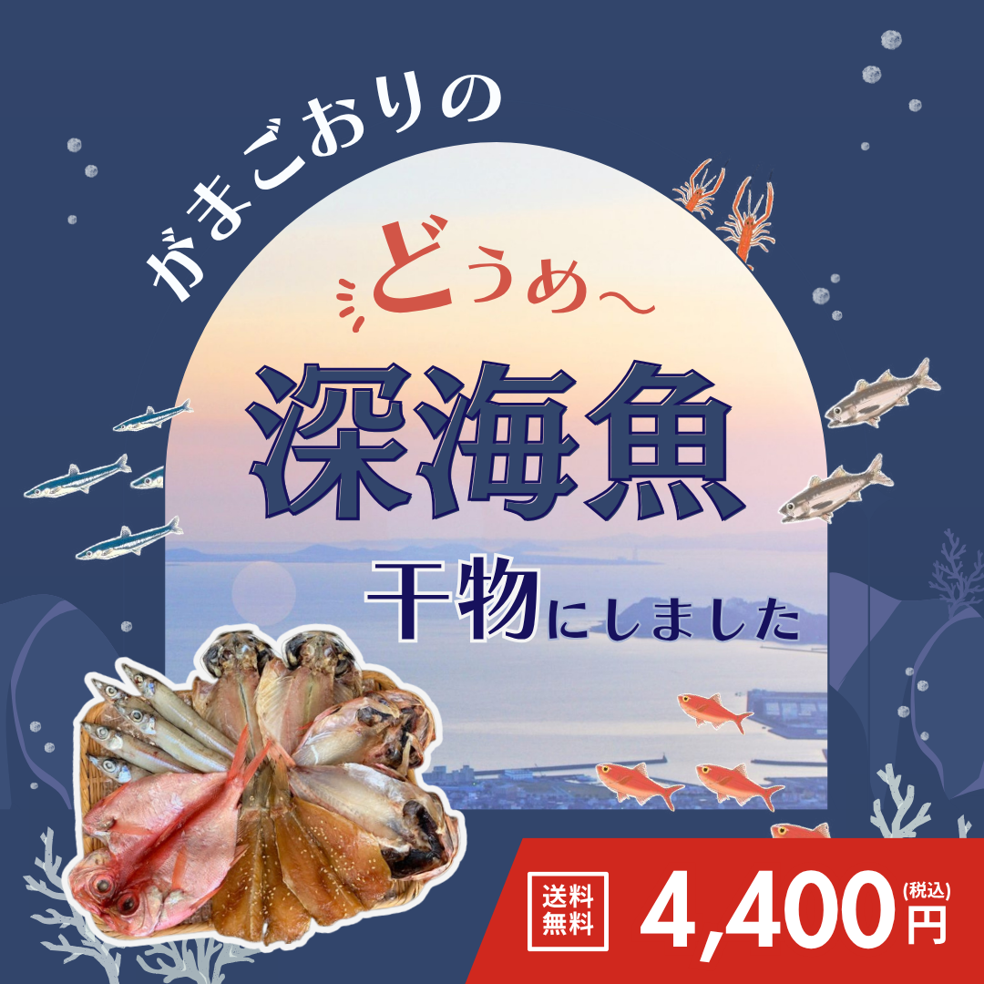 深海魚入り干物セット【送料無料】