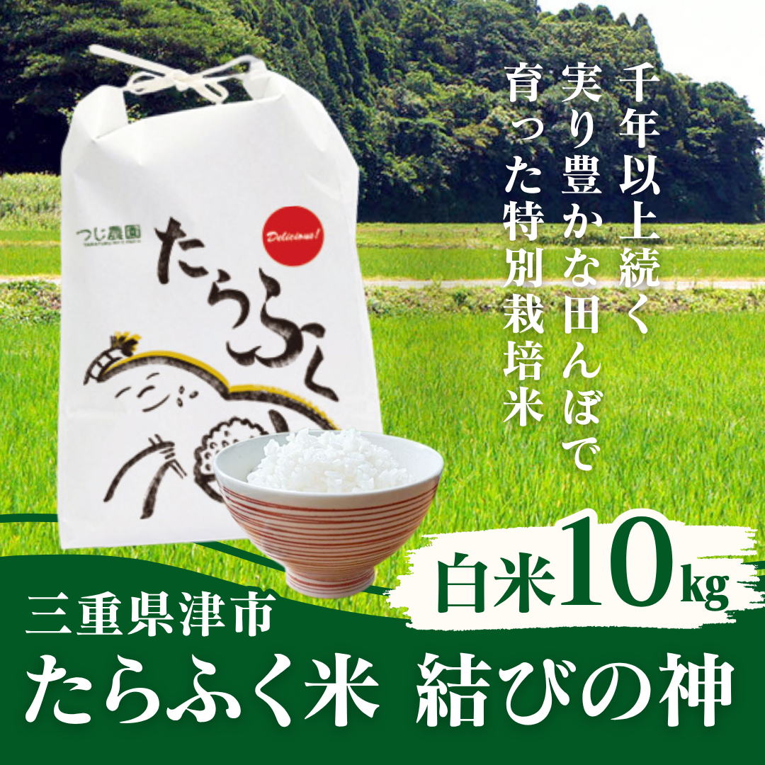 つじ農園　たらふく米　結びの神(白米)10kg【送料無料】
