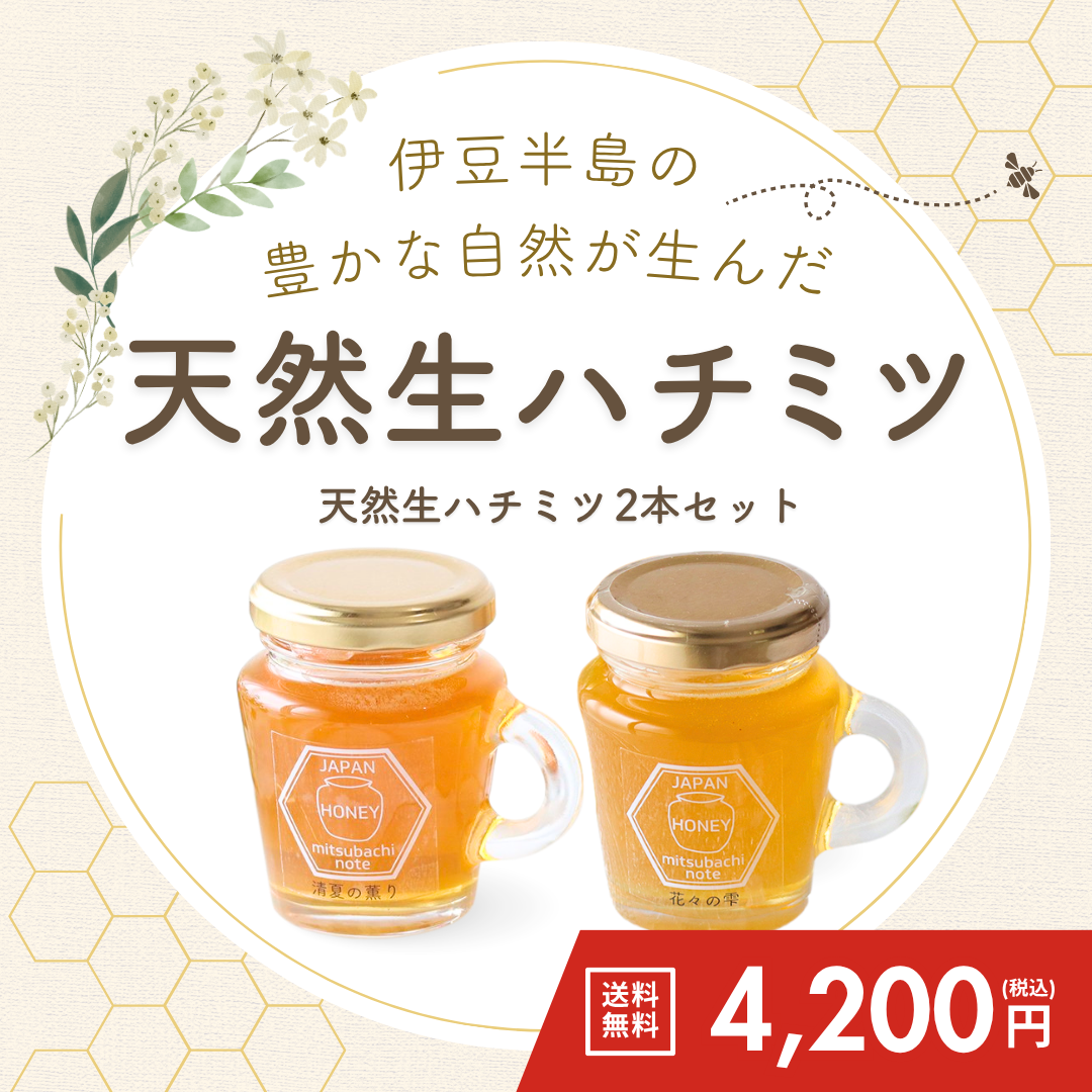 天然生ハチミツ2本セット【送料無料】